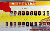 G22恒峰集团党委开展党员承诺活动